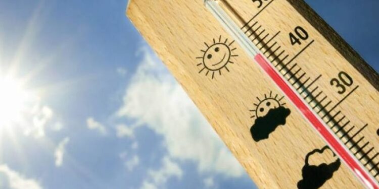 Un informe revela que el 2020 fue el año más caliente de la historia
