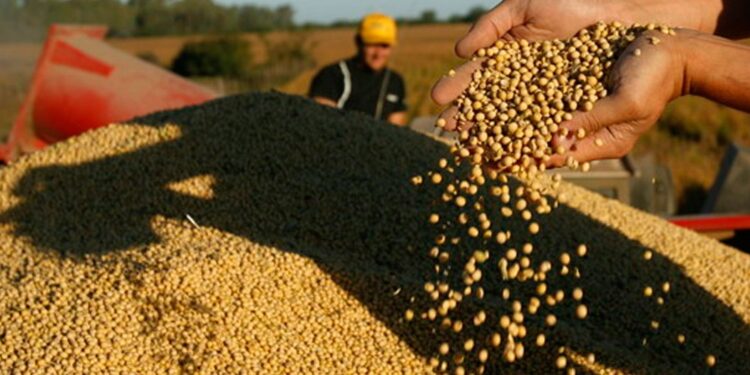 Argentina, uno de los países con mayor impuesto a la exportación