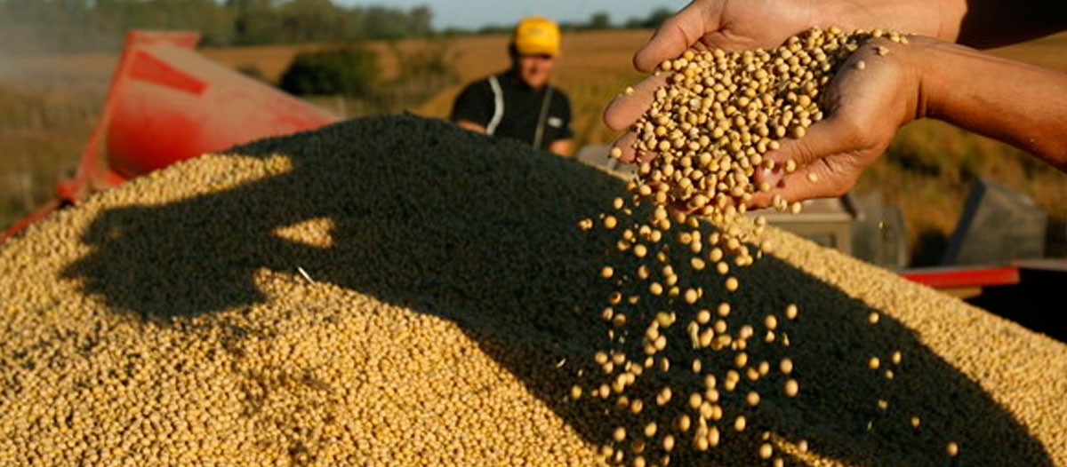 Argentina, uno de los países con mayor impuesto a la exportación
