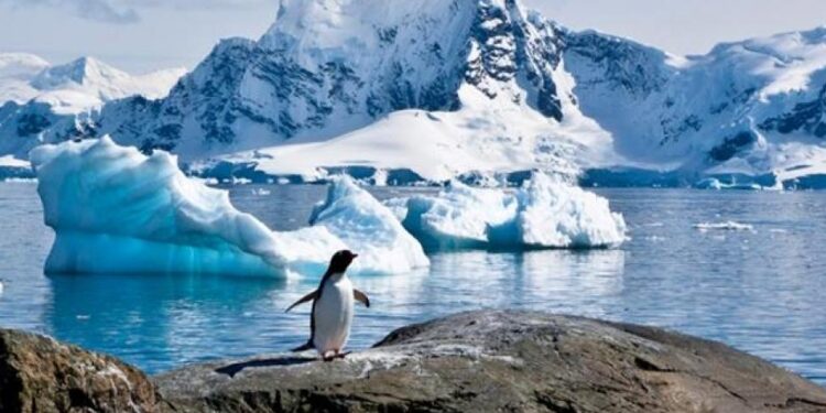 Argentinos investigan el acelerado aumento de temperatura en la Antártida y el efecto que tendrá en el oxígeno del planeta