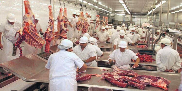 La Federación de la Carne denunció la informalidad de la industria frigorífica bovina de exportación