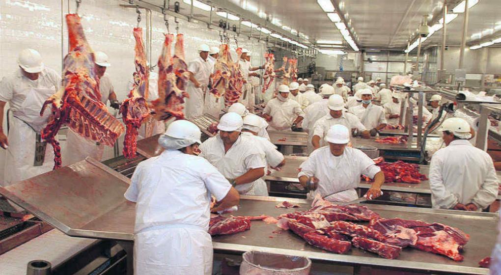 La Federación de la Carne denunció la informalidad de la industria frigorífica bovina de exportación
