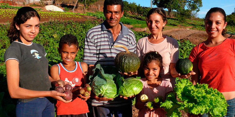 Agricultura familiar: la Federación Agraria Argentina y la FAO se unen en una plataforma de conocimientos para pequeños productores