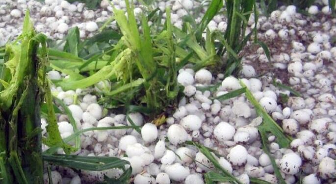 Comienza el pago a productores damnificados por el granizo