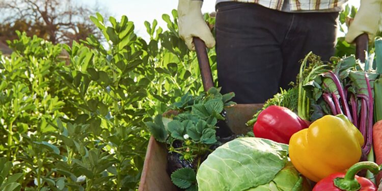 Nuevos créditos para agricultores familiares, con tasa subsidiada y beneficios para empresas lideradas por mujeres