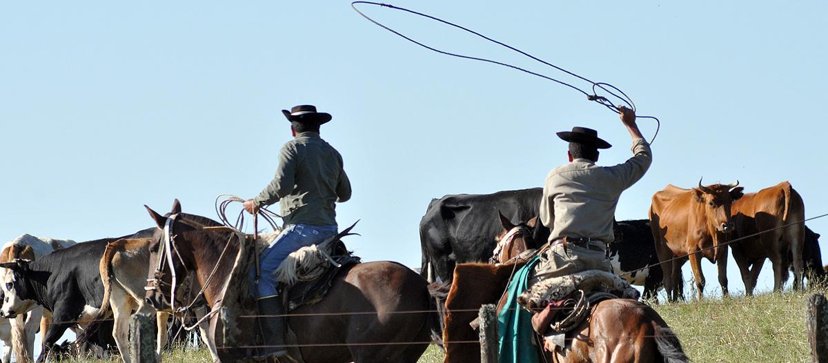 Nuevos salarios para el personal rural