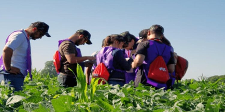 Desde Argentina, una multinacional de protección de cultivos lanza un producto que “revoluciona la agricultura”