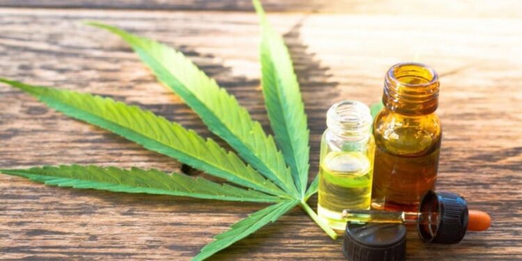 Se habilitó el registro para usuarios y cultivadores de Cannabis medicinal