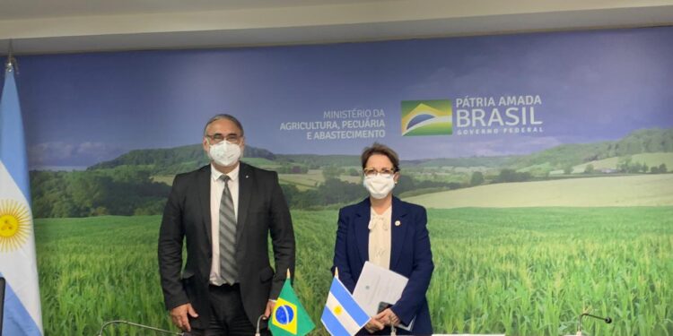Argentina y Brasil afianzan vínculos para posicionarse como proveedores mundiales de alimentos sostenibles