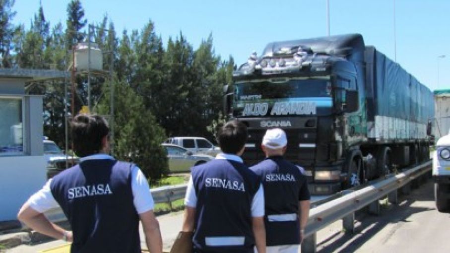 El RUCA será un requisito indispensable para la exportación de alimentos