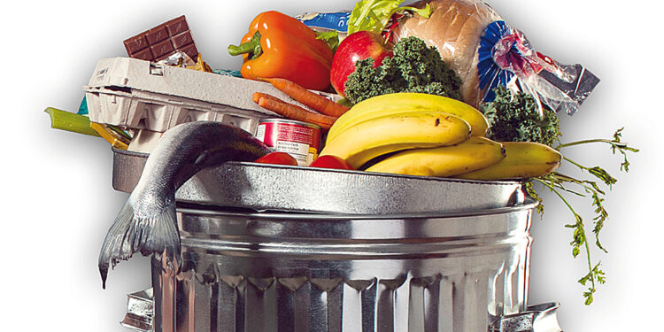 Datos de la ONU indican que 931 millones de toneladas de alimento fueron desperdiciadas en 2019