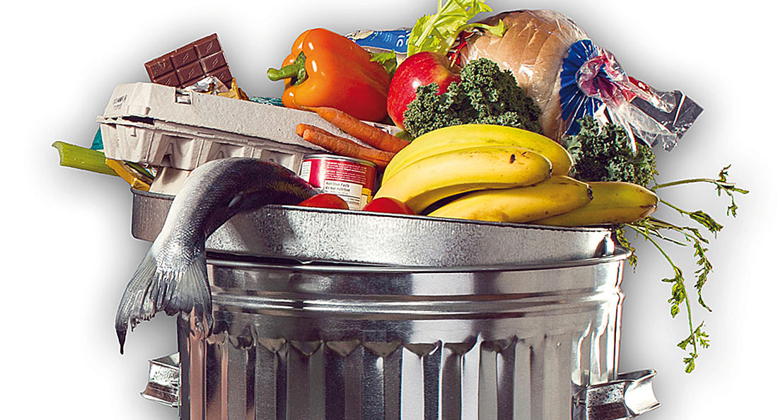 Datos de la ONU indican que 931 millones de toneladas de alimento fueron desperdiciadas en 2019