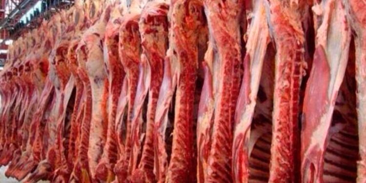 Las exportaciones de carne vacuna argentina llegaron a 199 millones de dólares para Enero del 2021