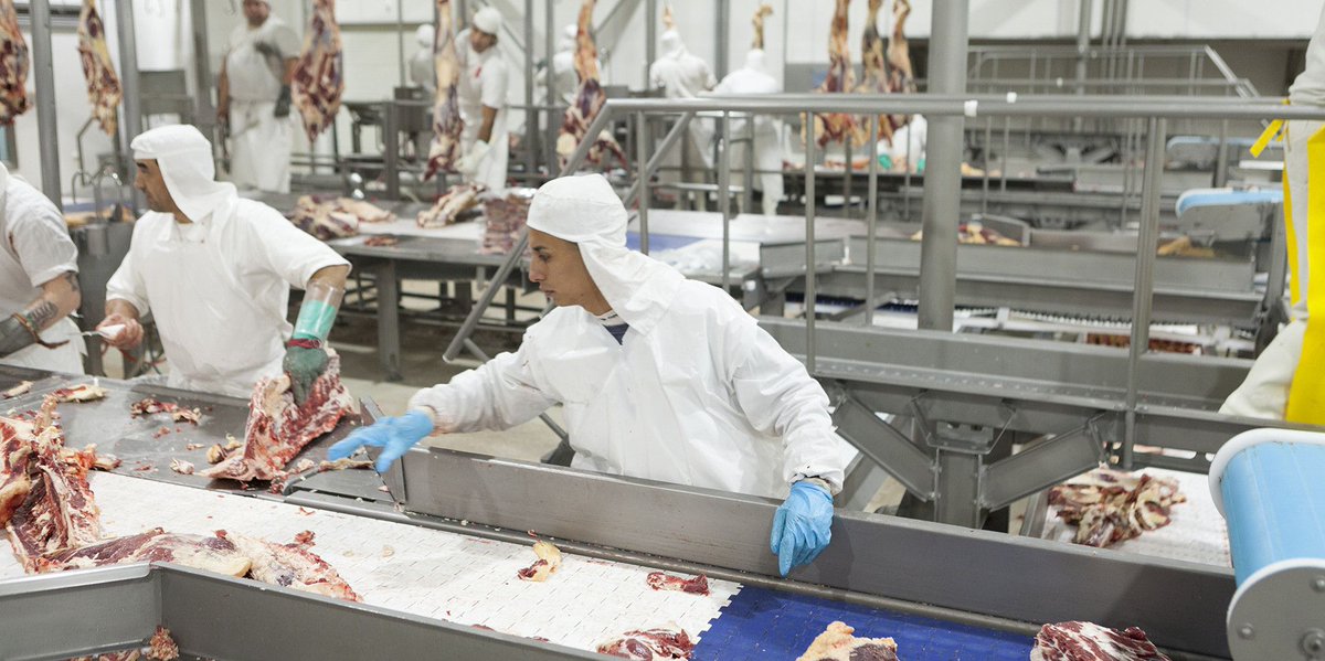 Se detectaron 15 empresas que exportaban carnes y granos para evadir los controles del estado