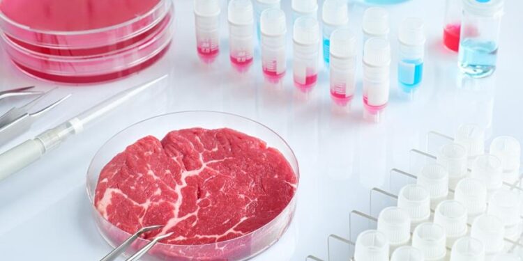 Una empresa israelí llegó a Brasil para producir cortes de carne cultivada