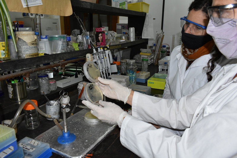 INTA y Laboratorios Bagó avanzan en investigaciones sobre COVID-19