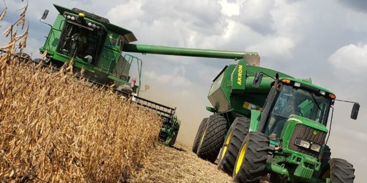 Según el Indec, las exportaciones de manufacturas de origen agropecuario aumentaron 41,9%
