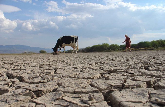 Dos provincias del Norte Grande en estado de emergencia agropecuaria