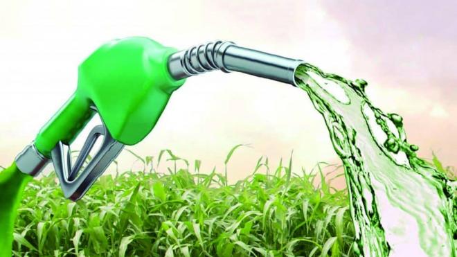 La realidad del sector azucarero ante la incertidumbre por la ley de biocombustibles
