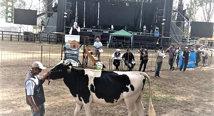 Este año volvería a realizarse la tradicional Expo Láctea