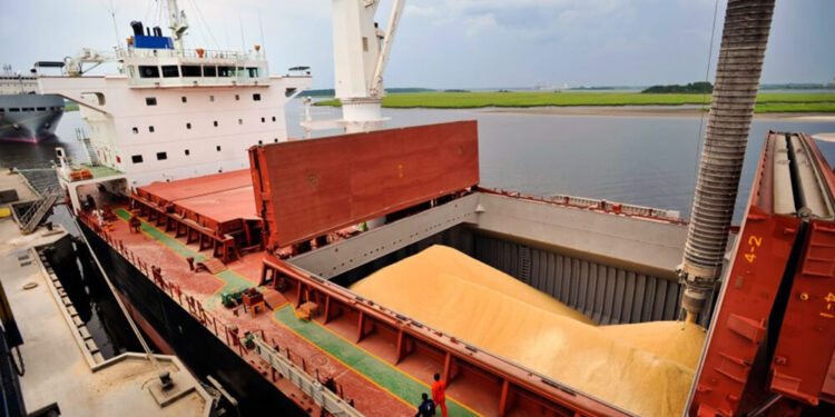 A causa del clima la soja tendría una caída de US$2.262 millones en los ingresos proyectados por exportaciones