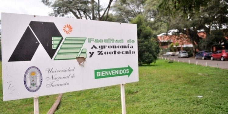 Inscripciones abiertas en Tucumán para especialización en citricultura