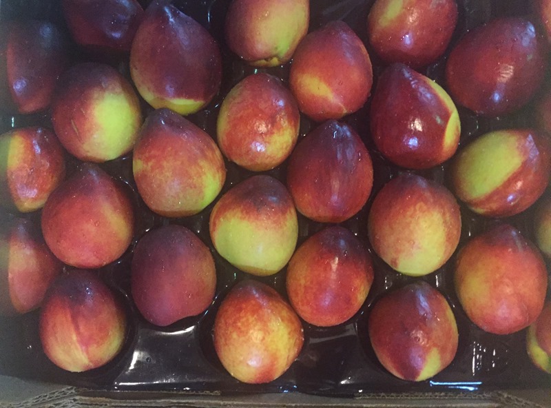 Un nuevo cultivar de nectarina fue presentado por el INTA
