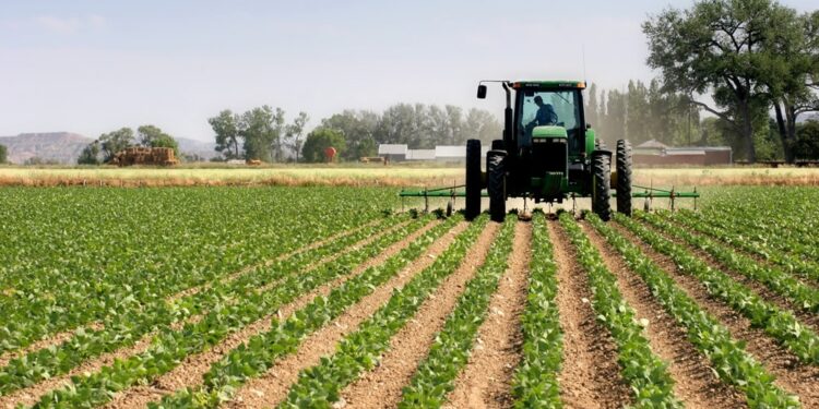 La modificación en el impuesto a las ganancias impactará negativamente en las pymes agrícolas