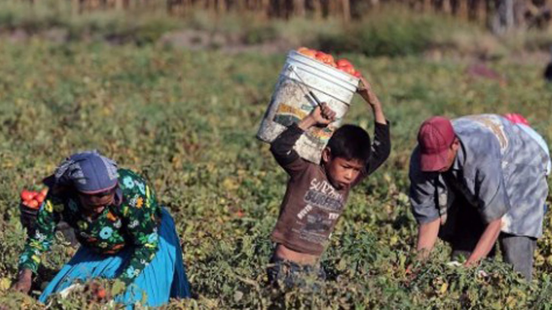A través de un convenio se fortalecerán las acciones para erradicar la explotación laboral y el trabajo infantil en el campo