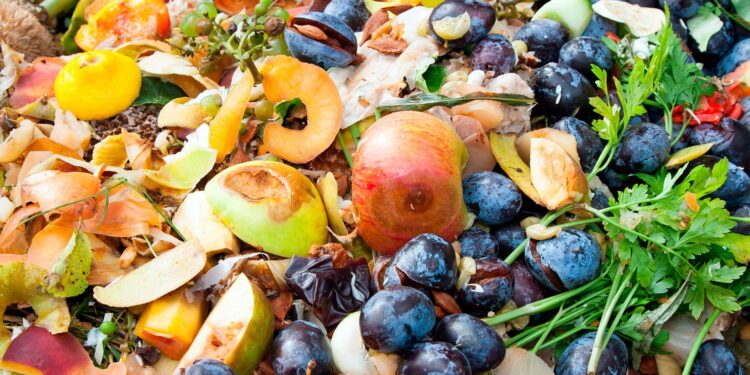 Argentina y la FAO unidas para la reducir los desperdicios de alimentos