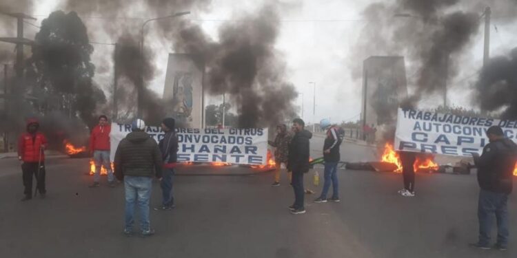 Se endurecen las medidas de protesta en el sector citrícola
