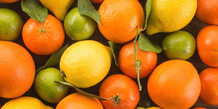 Se definieron las líneas de trabajo para la exportación de citrus 2021