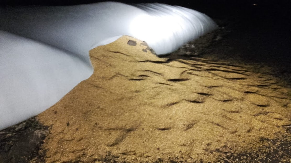 Celebran el proyecto de ley contra los ataques de vandalismo en el campo