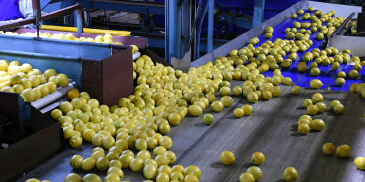 Ledesma pretende exportar a Estados Unidos el triple de volumen de fruta fresca