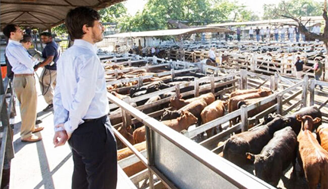 COTO se retira del Mercado de Liniers por órdenes de la secretaría de Comercio Interior