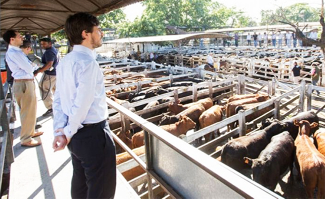 COTO se retira del Mercado de Liniers por órdenes de la secretaría de Comercio Interior
