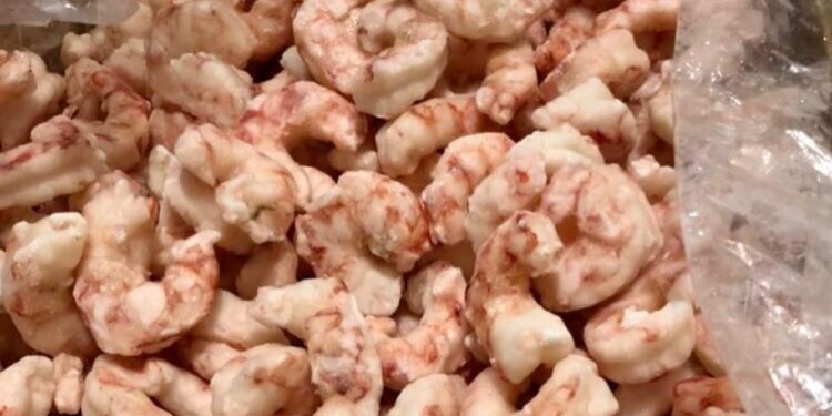 Argentina vuelve a exportar langostinos a Brasil