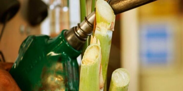 Diputados tucumanos presentarán un nuevo proyecto para los biocombustibles