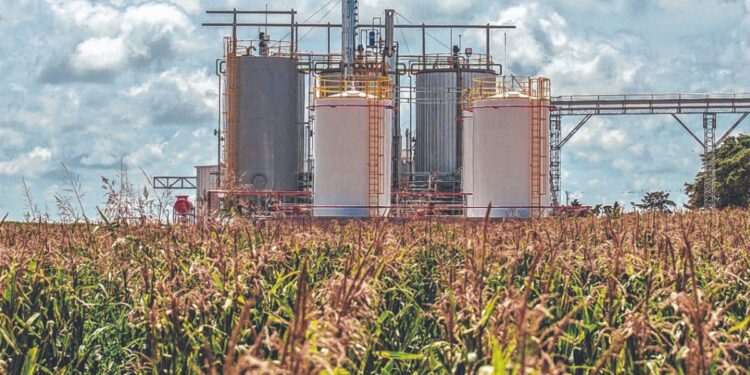 Un nuevo proyecto de ley de biocombustibles se discutirá en diputados