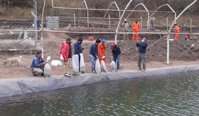 Criadero de truchas de acceso público para la pesca deportiva en Tucumán