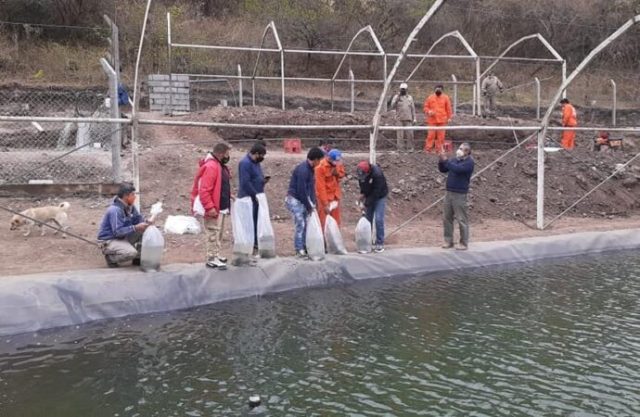 Criadero de truchas de acceso público para la pesca deportiva en Tucumán
