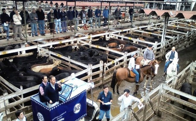 En un comunicado inusual CRA se refirió a la retirada de COTO del Mercado de Liniers