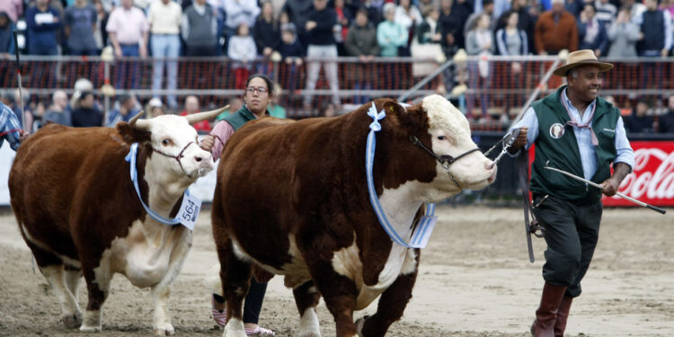 La tradicional Exposición Rural de Palermo se reprograma para 2022