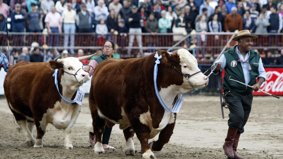 La tradicional Exposición Rural de Palermo se reprograma para 2022