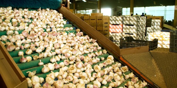 Por 3 años más, Argentina podrá exportar a Indonesia