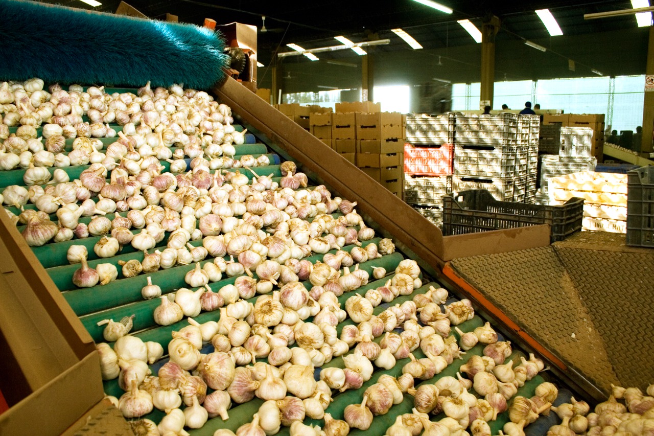 Por 3 años más, Argentina podrá exportar a Indonesia
