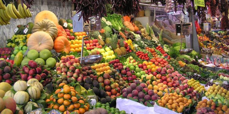 El sector agropecuario de América se prepara para la Cumbre sobre Sistemas Alimentarios 2021 convocada por la ONU