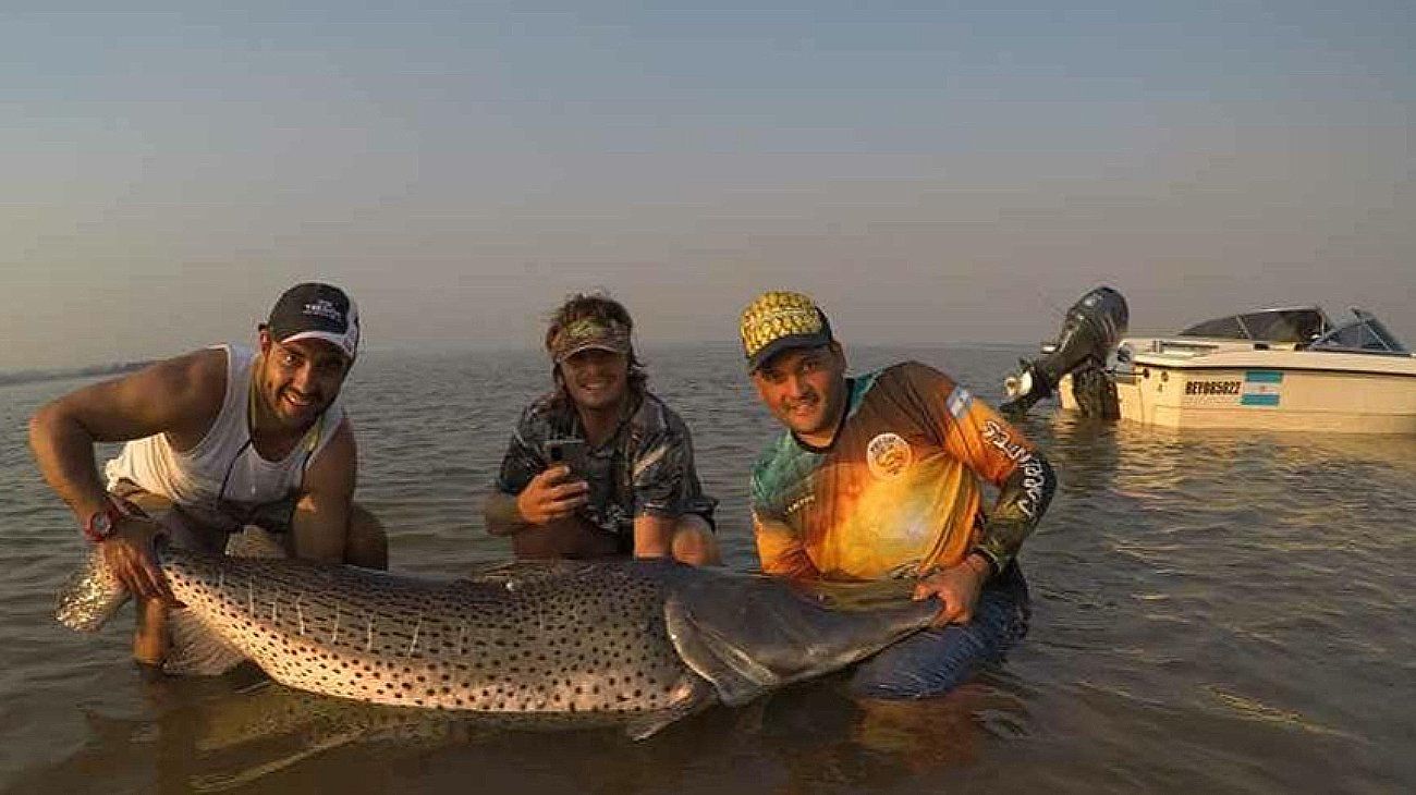 Piden que se declare la veda el Río Paraná