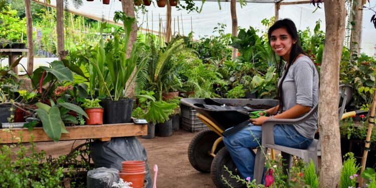 Los Pizarro: mujeres rurales producen flores y son el sostén de las familias tabacaleras