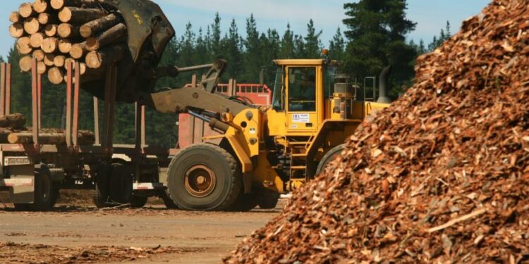 La actividad foresto-industrial argentina cuenta ventajas competitivas a nivel mundial que se podría aprovechar